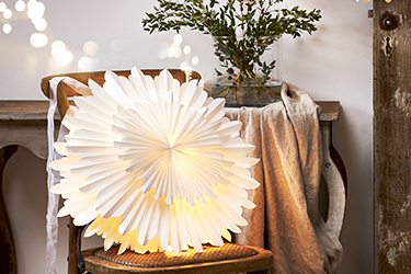 Gwiazdy bożonarodzeniowe Gwiazdy bożonarodzeniowe